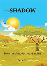 Shadow cover